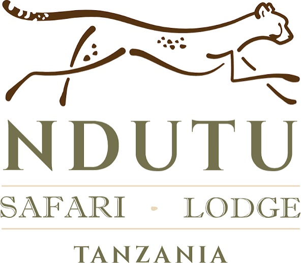 Ndutu Safari Lodge, Tanzania